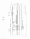 Fig. 11 - Organic light emitting display device