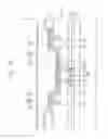 Fig. 16 - Organic light emitting display device