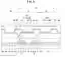 Fig. 06 - Double-sided emissive transparent organic light-emitting diode display and method of manufacturing the same