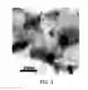 Fig. 06 - Thermoelectric material, thermoelectric device, powder for thermoelectric material, and method for producing thermoelectric material