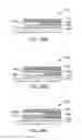 Fig. 41 - Piezoelectric article with dielectric layer and co-planar electrodes