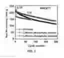 Fig. 02 - High capacity and stable cathode materials