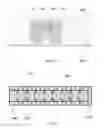 Fig. 22 - Stackable fuel cell generator arrangement with common inlet and common outlet plenums
