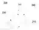 Fig. 01 - Port for electronic device