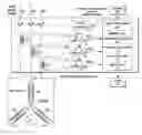Fig. 01 - Dynamic motor current phase unbalance protection