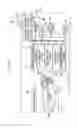 Fig. 22 - Semiconductor device and measurement device