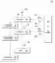 Fig. 01 - Service identity propagation between applications and reusable services