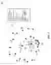 Fig. 02 - Analysis of complex relationships among information technology security-relevant entities using a network graph