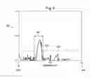 Fig. 08 - Devices systems and methods for assessment of vessels