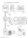 Fig. 03 - Human and animal physiological comparatives, communication and developers' tool kit