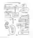 Fig. 08 - Human and animal physiological comparatives, communication and developers' tool kit