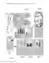 Fig. 16 - Human and animal physiological comparatives, communication and developers' tool kit