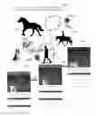 Fig. 25 - Human and animal physiological comparatives, communication and developers' tool kit
