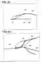 Fig. 19 - Systems for locking a cinch loop in tissue repair