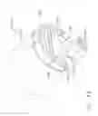 Fig. 52 - Staple instrument comprising a firing path display