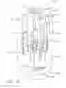 Fig. 67 - Surgical instrument comprising a tissue grasping system