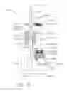 Fig. 06 - Surgical instrument comprising synchronized drive systems
