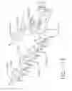 Fig. 80 - Surgical instrument comprising synchronized drive systems