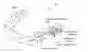 Fig. 01 - Closed loop adaptive orthodontic treatment methods and apparatuses