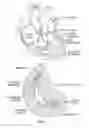 Fig. 02 - Covered prosthetic heart valve