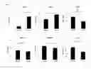 Fig. 07 - HIF-1 modulator paint formulation and uses thereof