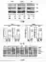 Fig. 06 - Histone deacetylase as a modulator of PDLI expression and activity