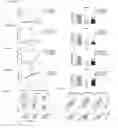 Fig. 02 - Modulation of Transcription Initiation Factor TFIID Subunit 1 (TAF1) for Treating Leukemia