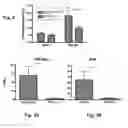 Fig. 03 - METHODS AND COMPOSITIONS FOR PREVENTION AND TREATMENT OF CARDIAC HYPERTROPHY