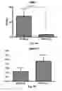 Fig. 04 - METHODS AND COMPOSITIONS FOR PREVENTION AND TREATMENT OF CARDIAC HYPERTROPHY