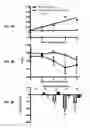 Fig. 06 - METHODS AND COMPOSITIONS FOR PREVENTION AND TREATMENT OF CARDIAC HYPERTROPHY