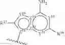 Fig. 167 - Cyclic dinucleotide
