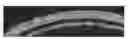 Fig. 01 - Pathways to Generate Hair Cells