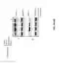 Fig. 09 - Pathways to Generate Hair Cells