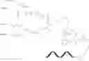 Fig. 197 - Nucleic acid conjugate