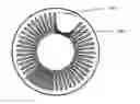 Fig. 01 - Fuel filter having high resistance to icing