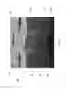 Fig. 07 - FLUID ETCHED FOAM