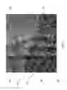 Fig. 08 - FLUID ETCHED FOAM