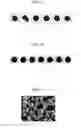 Fig. 07 - Metal powder material