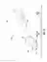 Fig. 02 - Method and apparatus for printing