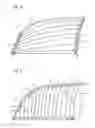 Fig. 06 - SIDE GLASS PANEL
