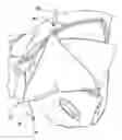 Fig. 01 - Comprehensive protective cover for vehicle door with frameless window