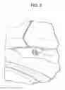 Fig. 06 - Comprehensive protective cover for vehicle door with frameless window