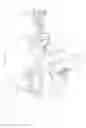 Fig. 02 - Supporting apparatus for steering gear box