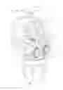 Fig. 06 - Valve assemblies and manually operable handle assemblies for beverage dispensing machines