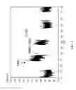 Fig. 02 - METHOD OF PREPARING NANOSHEET TUNGSTEN DISULFIDE