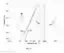 Fig. 02 - Manufacturing process for striae-free multicomponent chalcogenide glasses via convection mixing