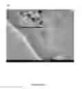 Fig. 09 - Bitumen nanocomposites and uses thereof