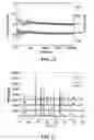Fig. 07 - Large-size, high-dielectric breakdown strength titanium oxide based dielectric ceramic materials, preparation method and application thereof