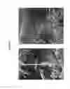 Fig. 07 - FERTILIZER COMPOSITION COMPRISING A ZEOLITE AND BASIC L-AMINO ACID