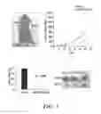 Fig. 06 - Compositions and methods for treating cancer